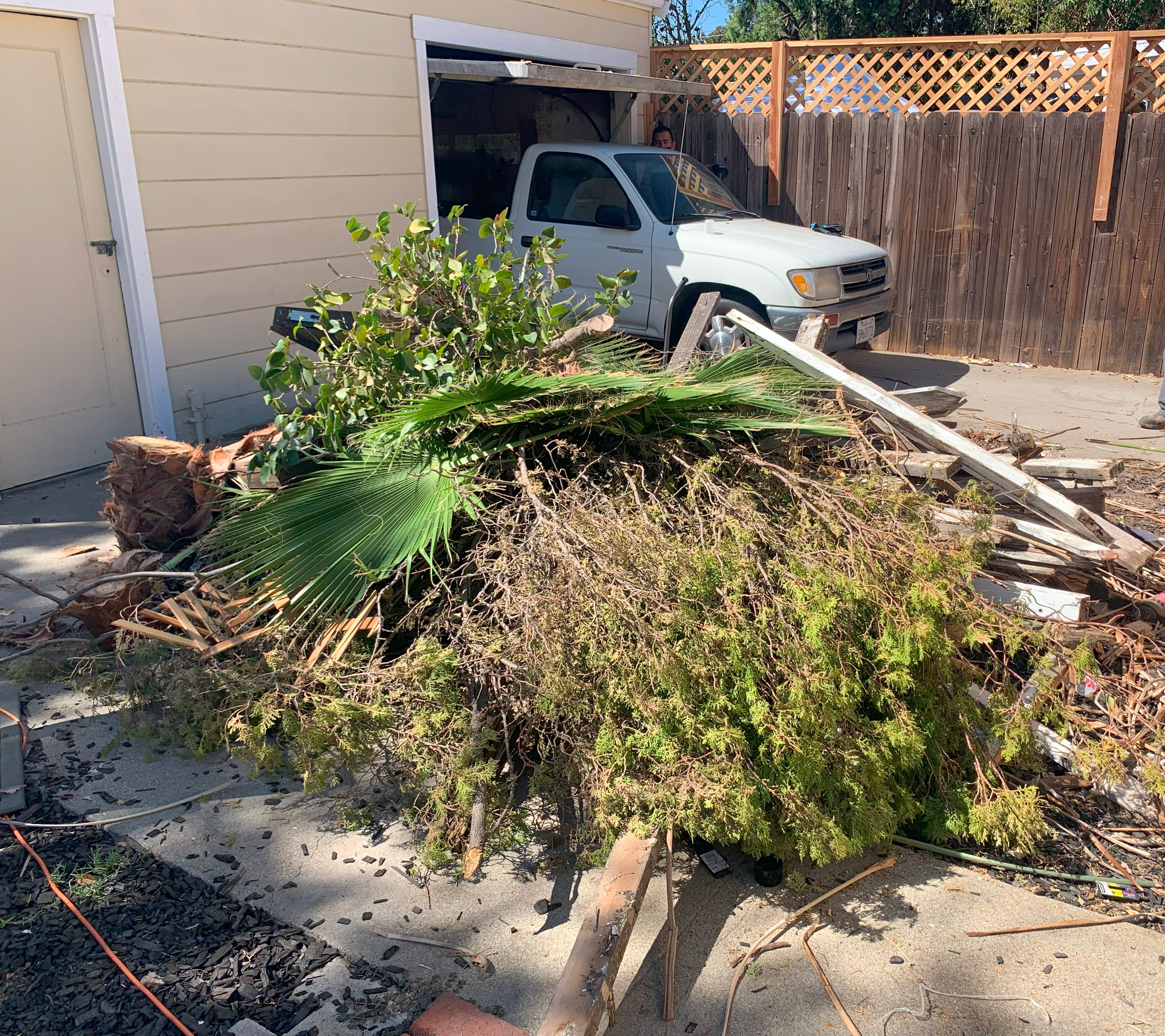 Yard Waste Removal to Keep Your Garden Clean and Tidy